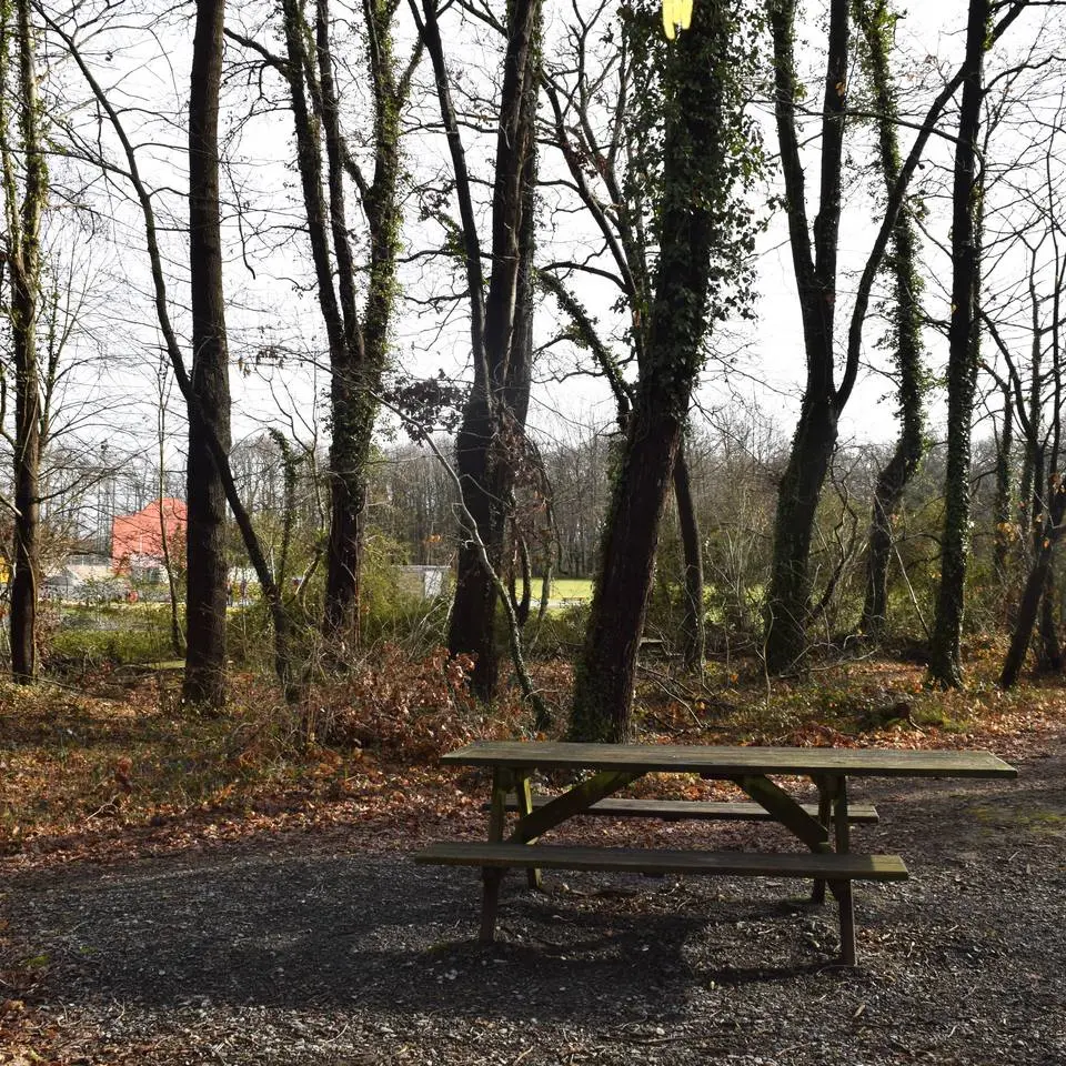 Aire de pique-nique - Lons - tables 4
