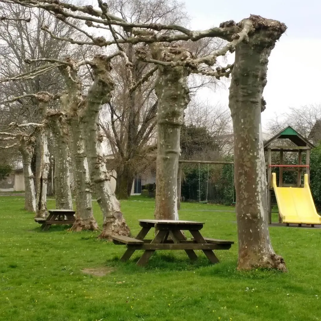 Aire de pique-nique - Lee - tables 3