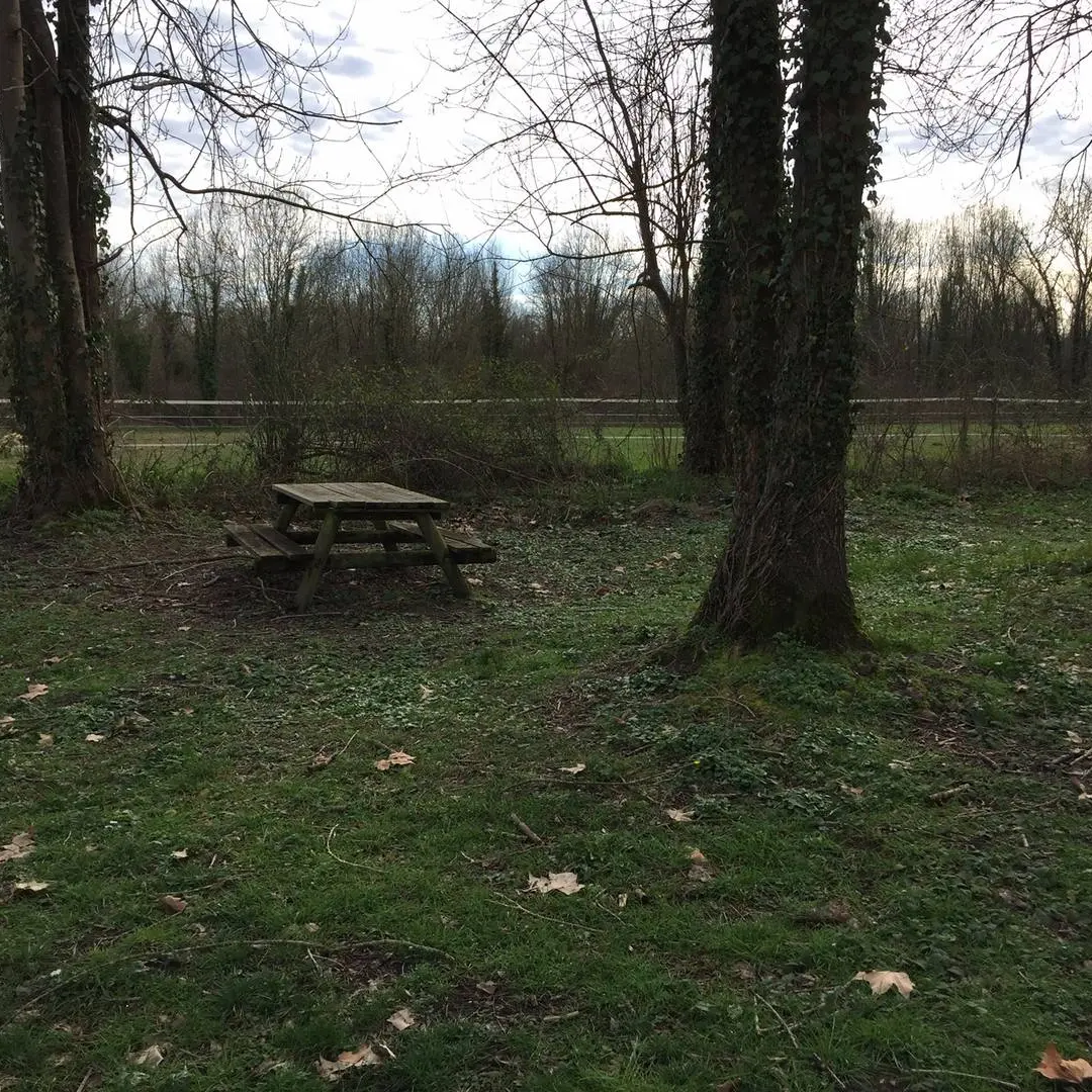 Aire de pique-nique - Siros - tables 3