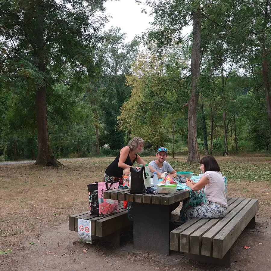 Aire de pique-nique - billère - table 1