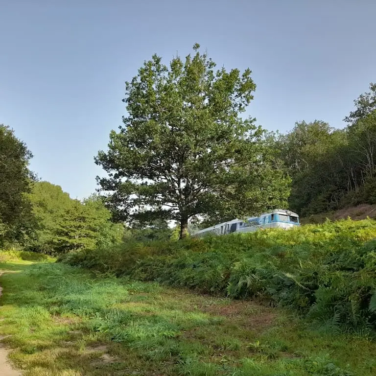 Aire de pique-nique dans la campagne du Limousin à Saint-Léonard de Noblat entre la rivière et la voie de chemin de fer