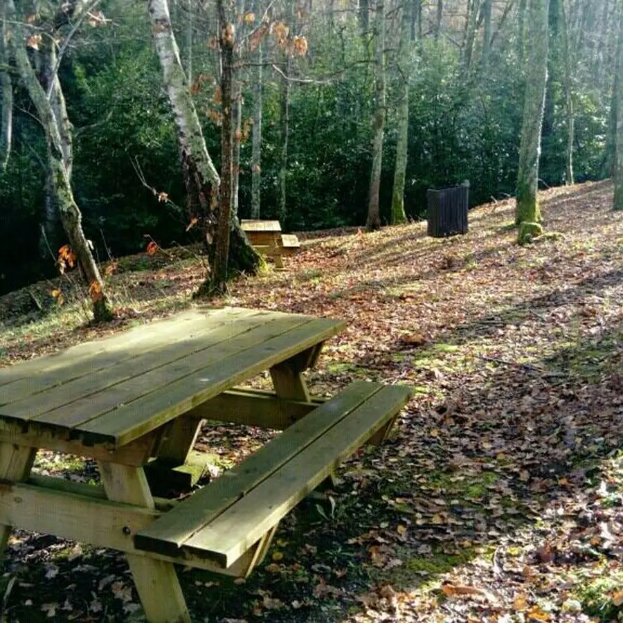 Aire pique nique - Aubertin - chemin de Pépic 3