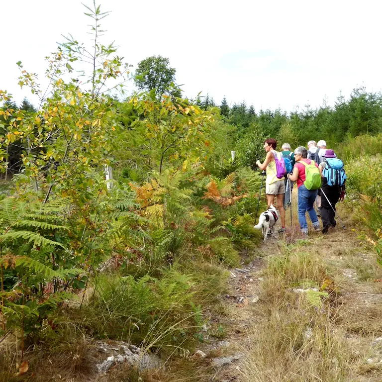 Chemin de randonnée