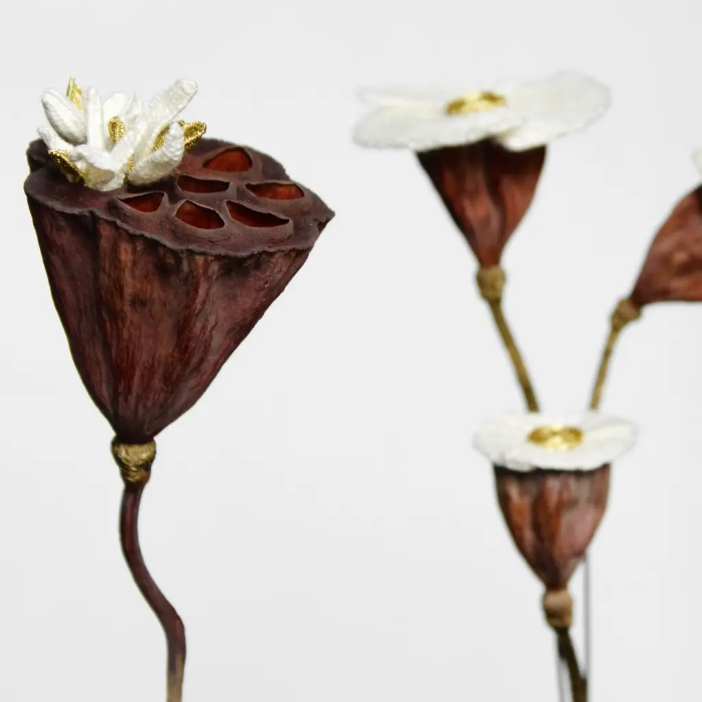 Amandine-blanchet-expo-limoge-le-bocal-galerie bd