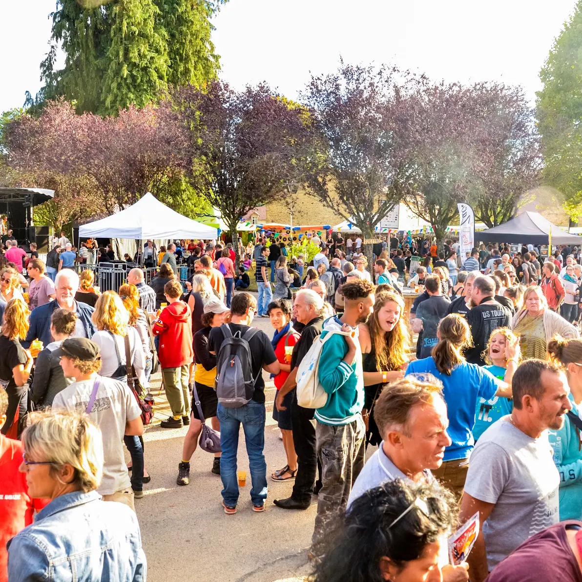 Festival Festi'Zac