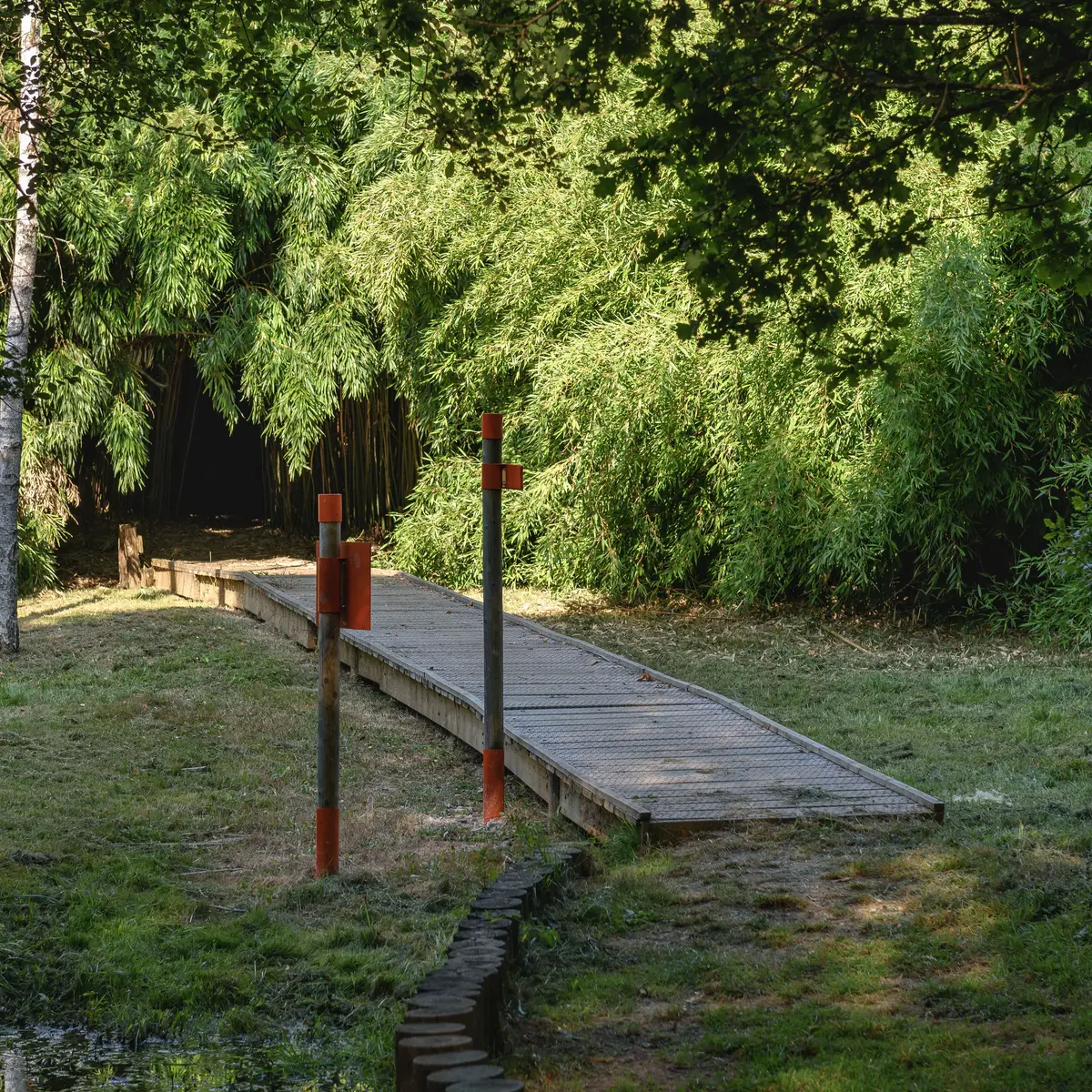 Arboretum Chamberet © Benoit Charles  (1)