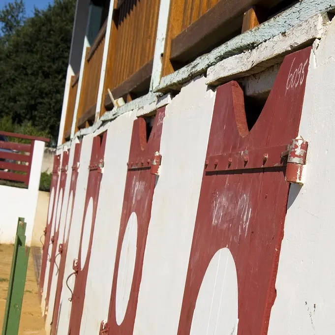 Arenes - Caupenne - porte gradin