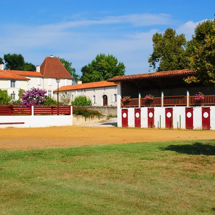 Arènes et chateau de Caupenne