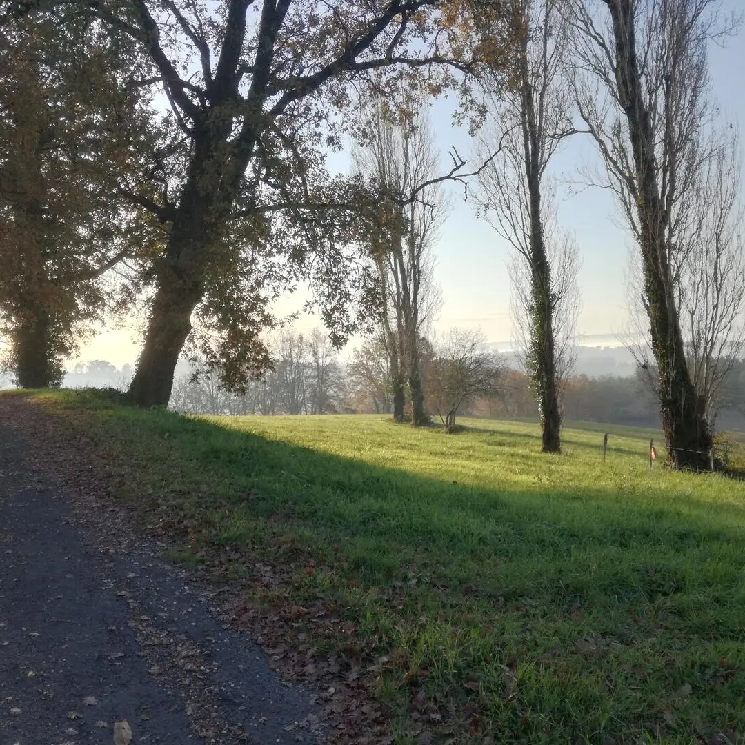 Aube-Audrix-brume-Décembre 2019 (2)