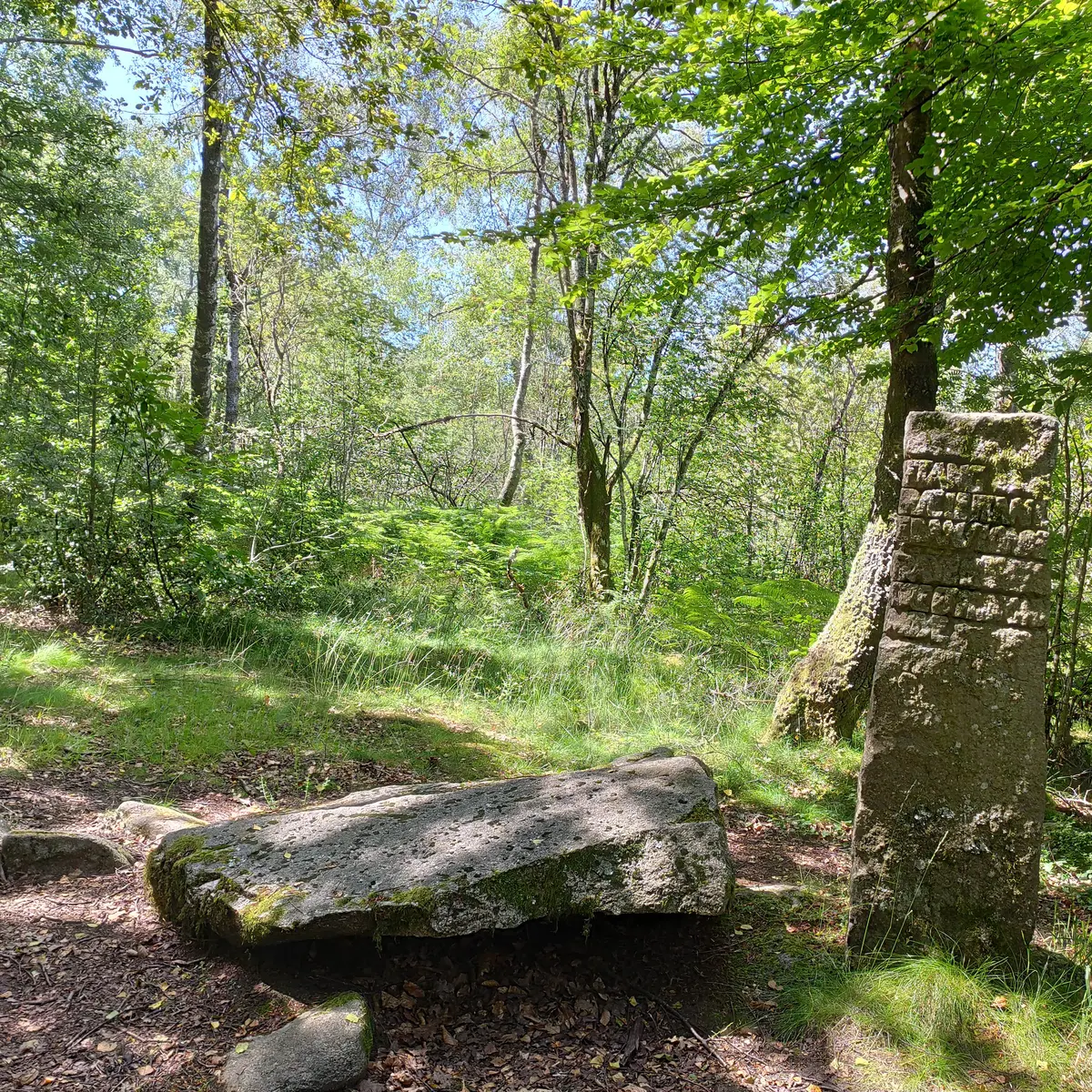 Chemin des poetes