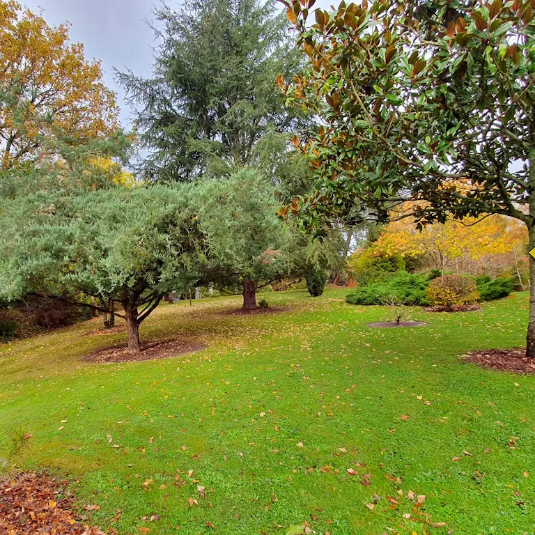BESSINES Arboretum