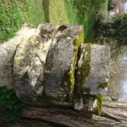 Bcledesplantades-meules1