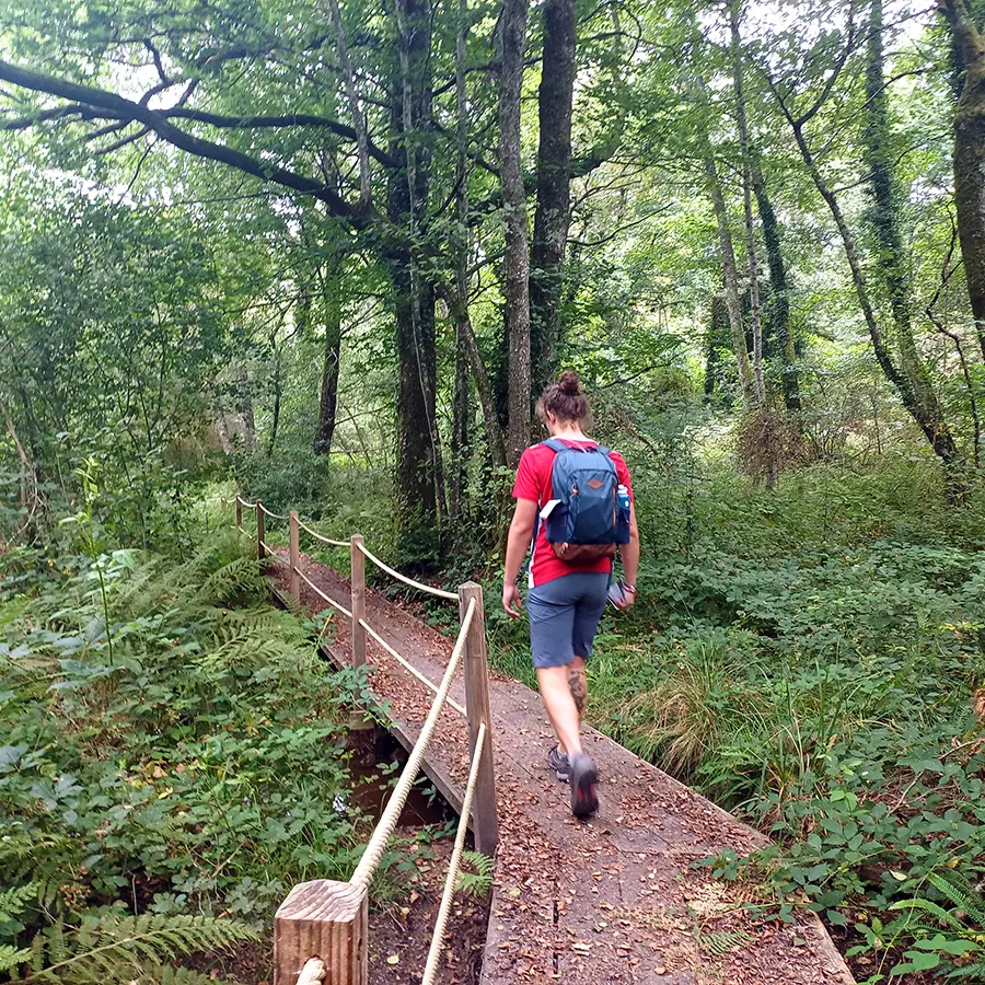 Circuit des planches Bessines