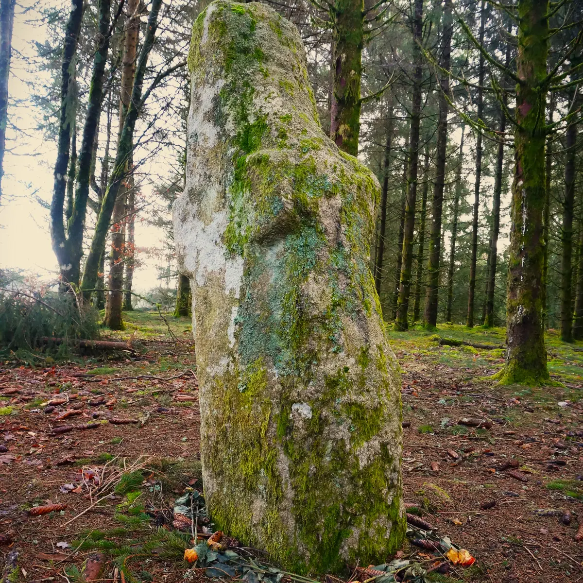 Bonnefond Menhir du Pilard ©N JUmelle (1)