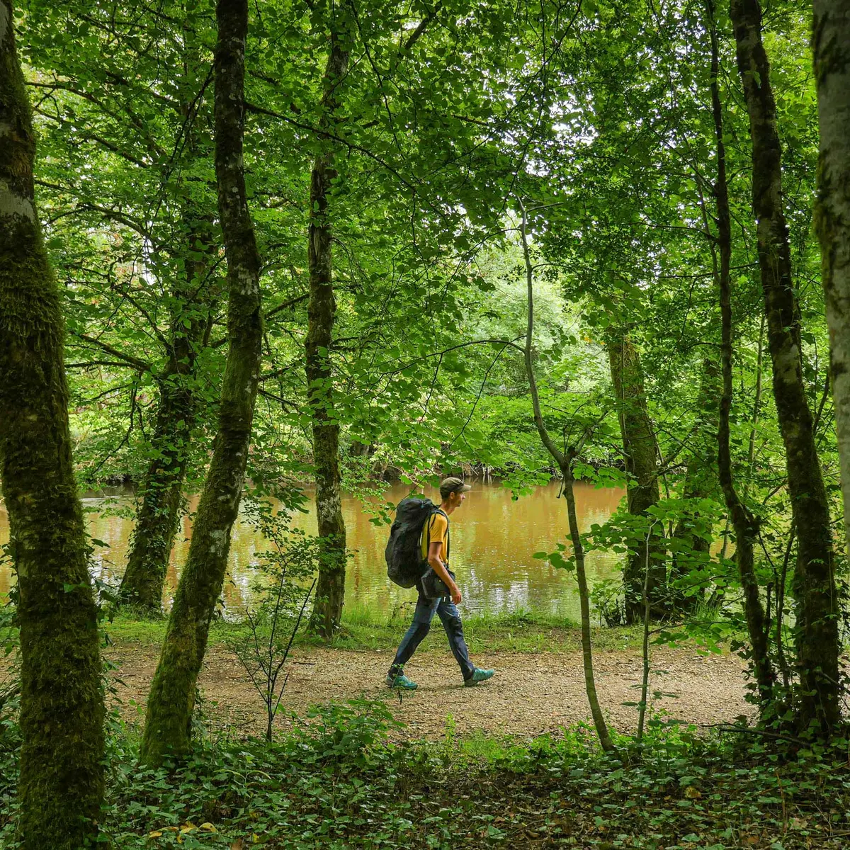 Bords-de-Vezere-St-Viance