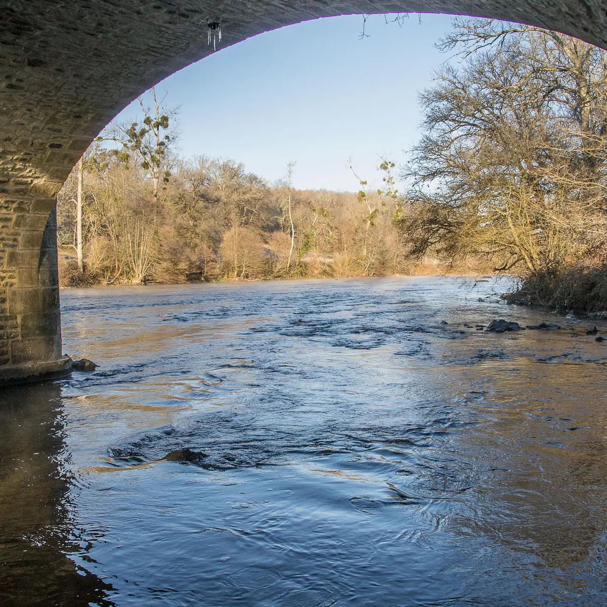 Bords de Vienne vers Pont Gabie - Dec 2016 © Laetitia Chabernaud (7)