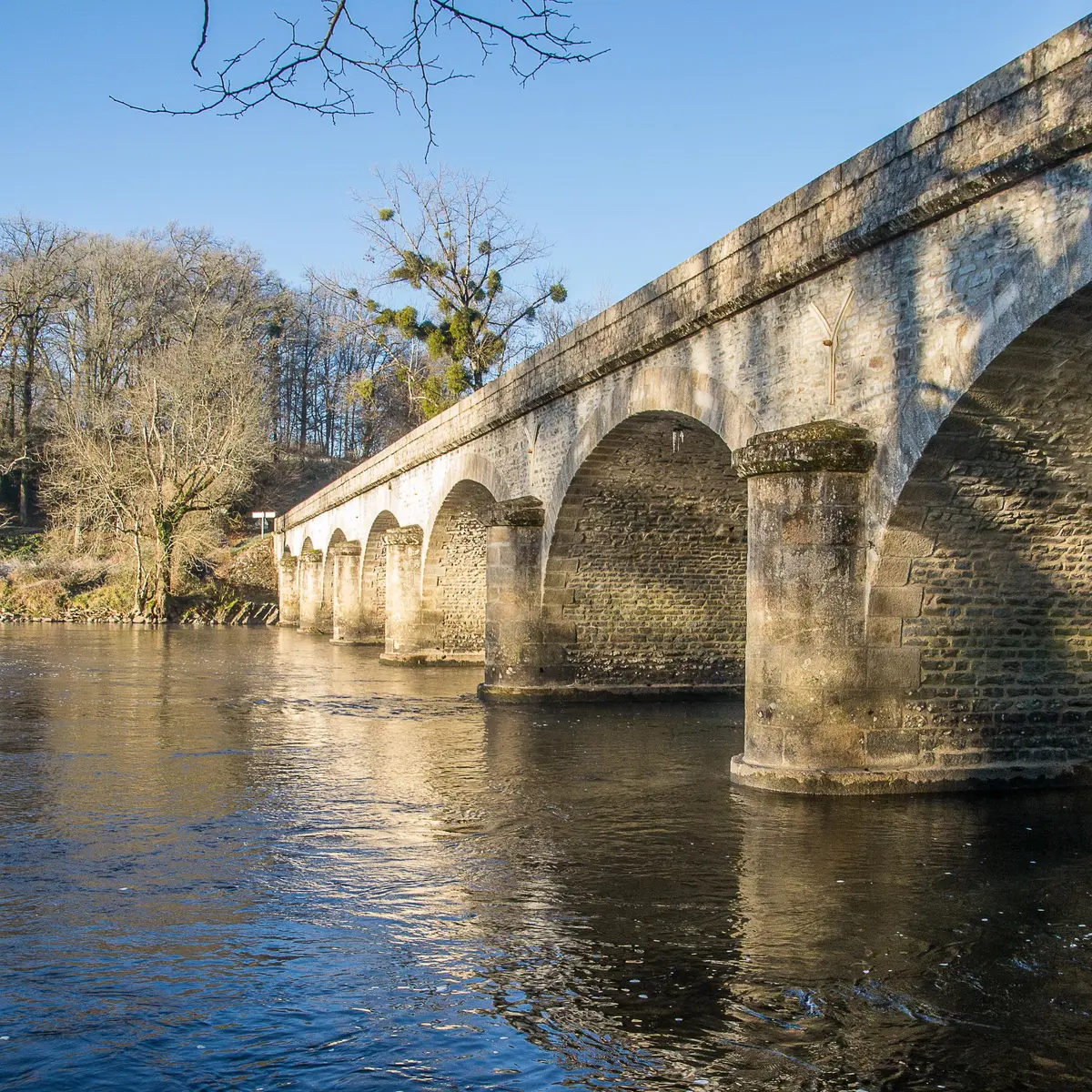 Bords de Vienne vers Pont Gabie - Dec 2016 © Laetitia Chabernaud (1)