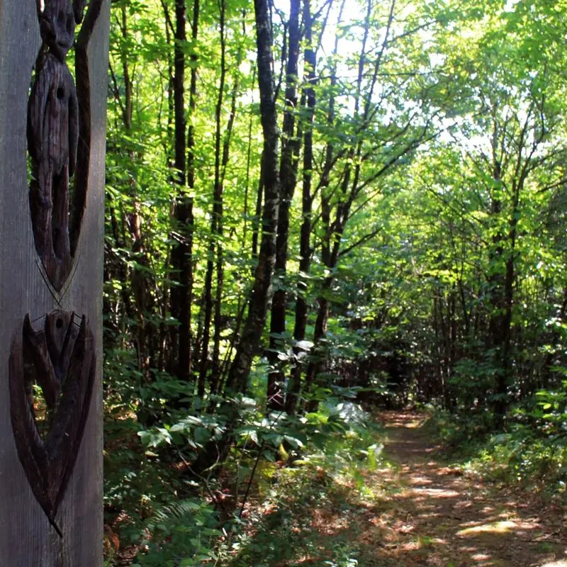En poste dans la forêt de Boubon2