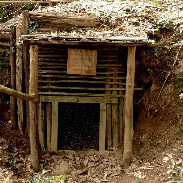 En poste dans la forêt de Boubon3