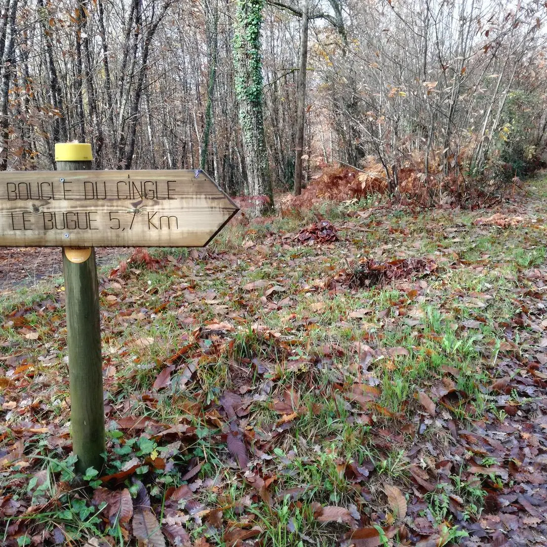 Boucle du cingle_Le Bugue_28112019 (46)