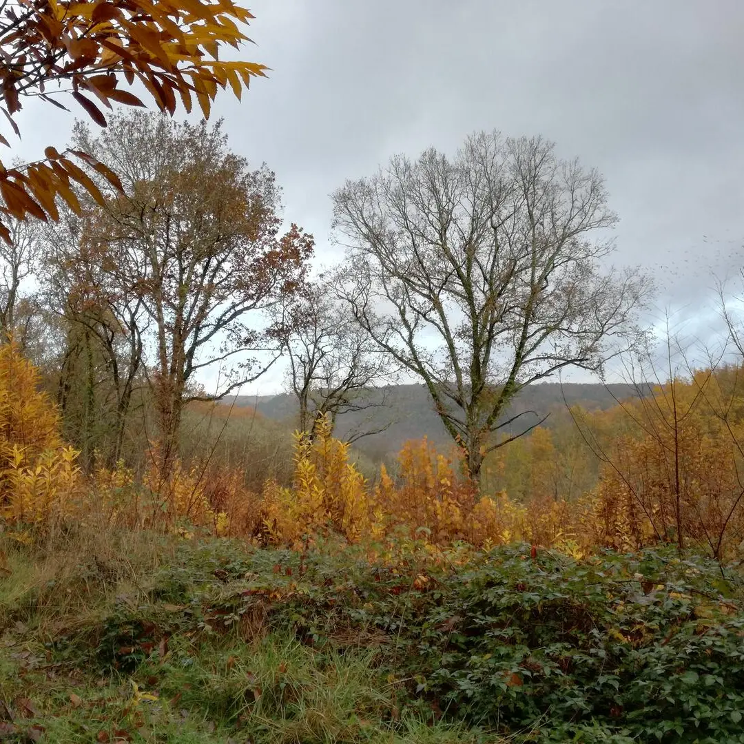 Boucle du cingle_Le Bugue_28112019 (29)