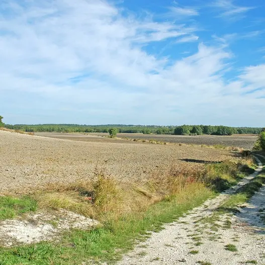 Boucle pdipr entrée est Monmadales