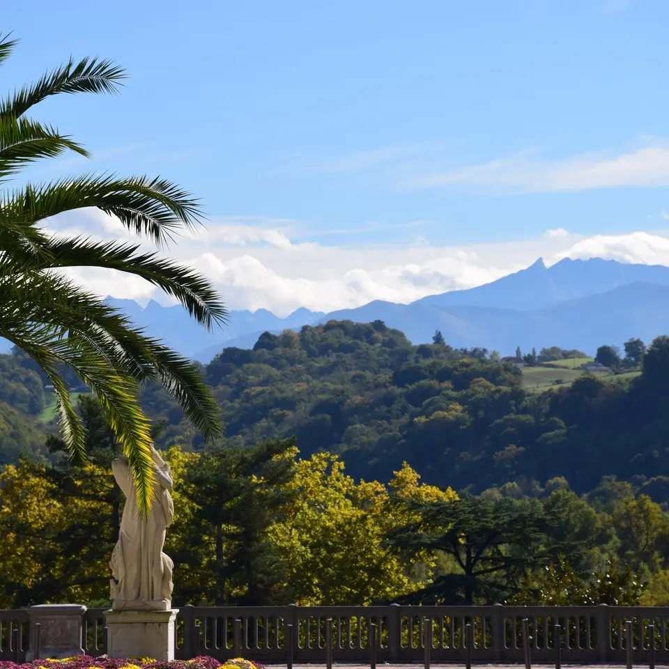 Pau, capitale royale - Palmiers
