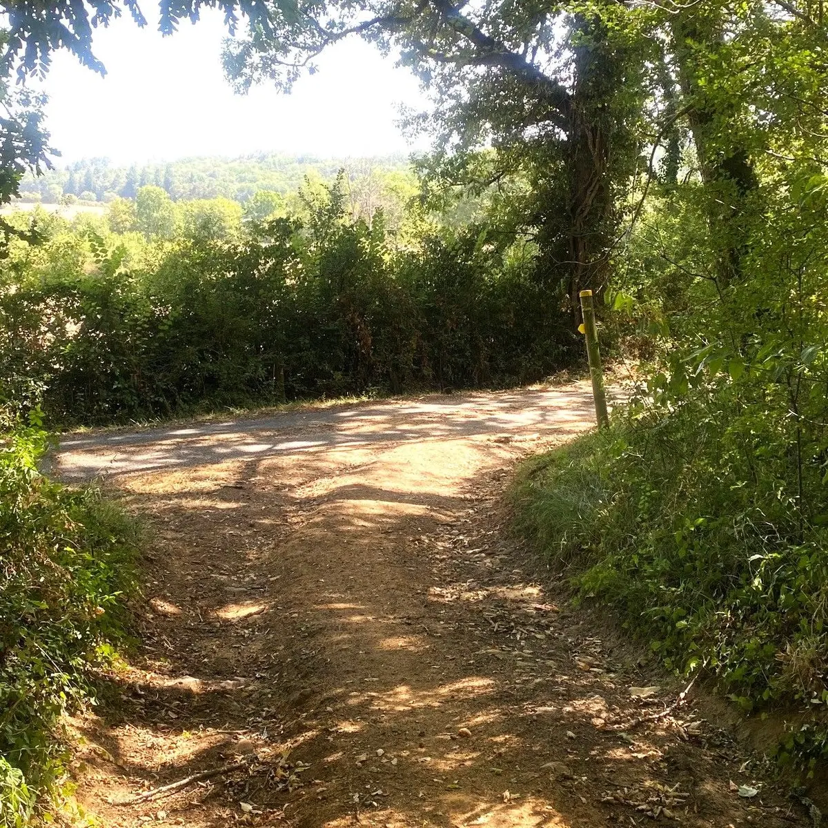 CENDRIEUX-Boucle du Maquis-chemin 3