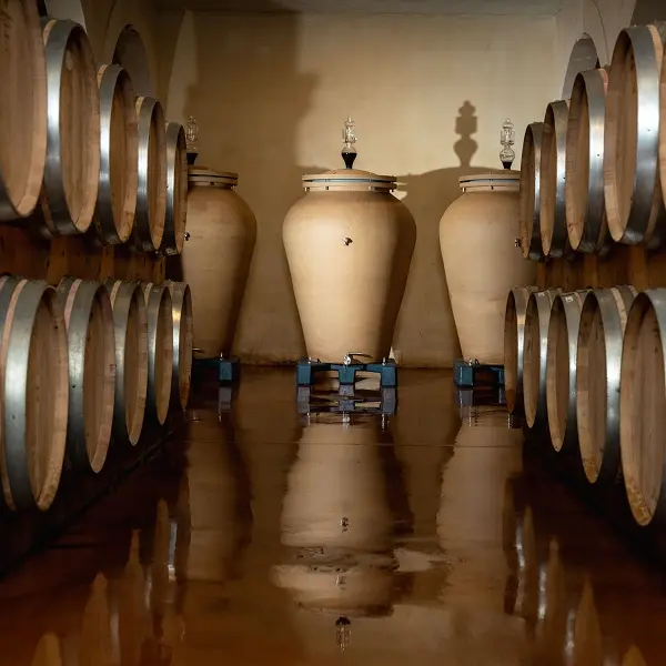 CHAI-AMPHORE-800x600