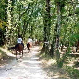 Camping CrinieresAuVent Monbalen 3