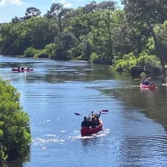 Canoe Mimizan8