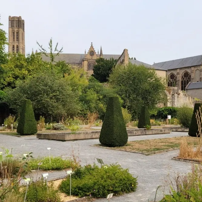 Capture d’écran 2026-02-20 141036