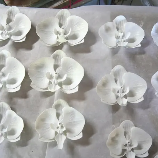 Orchidées