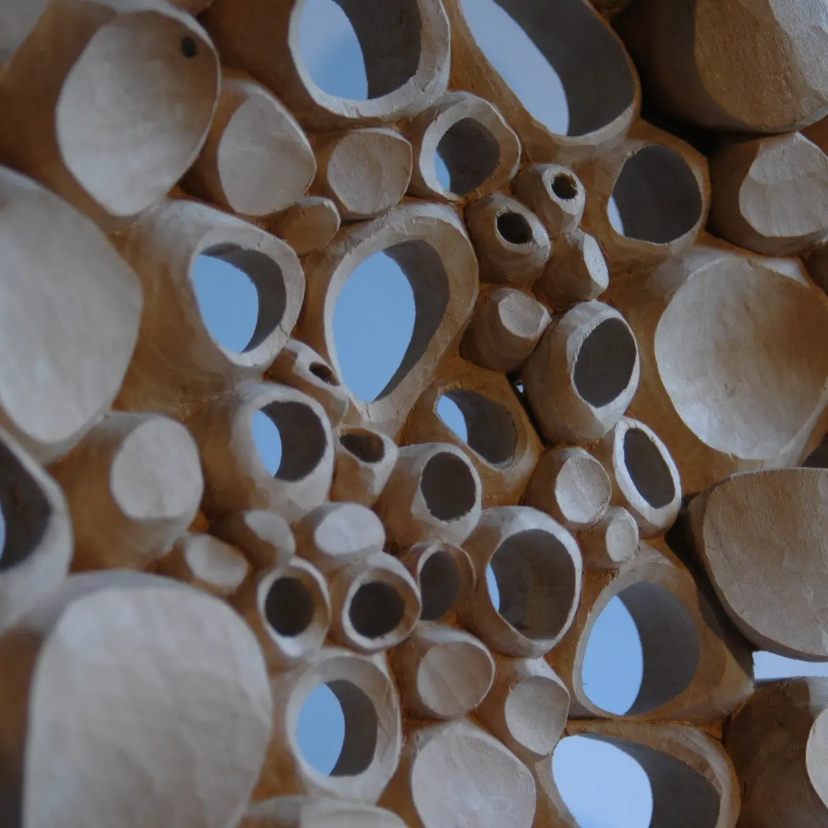 Cellules de Matière