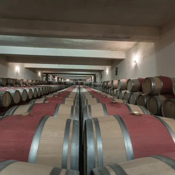 Château-Tayac4
