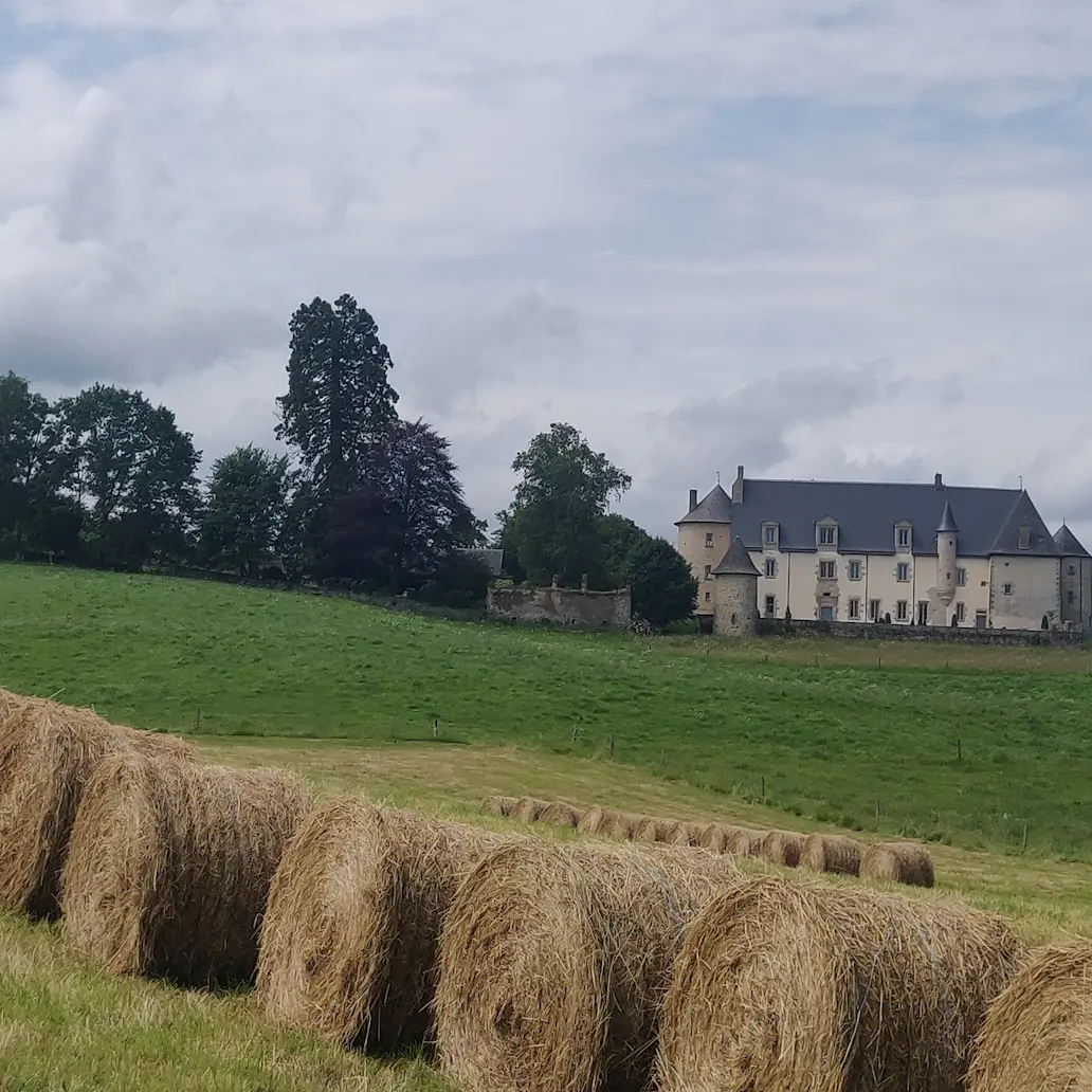 Château du Chambon