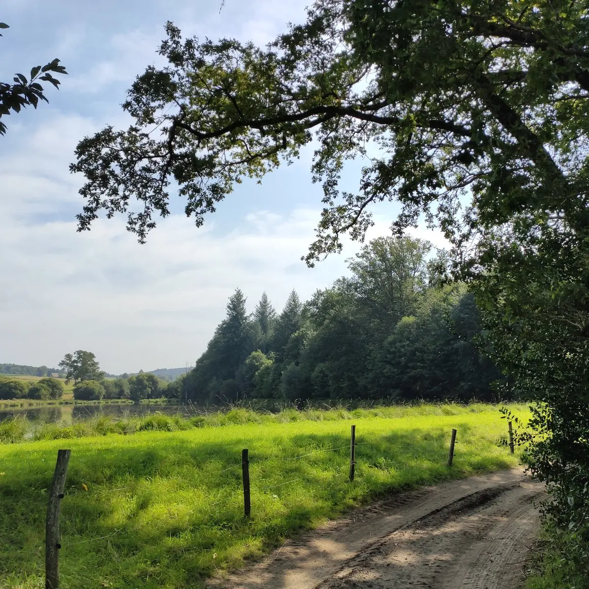 Champnétery - Sur le chemin le loong de l'étang du puy Razat