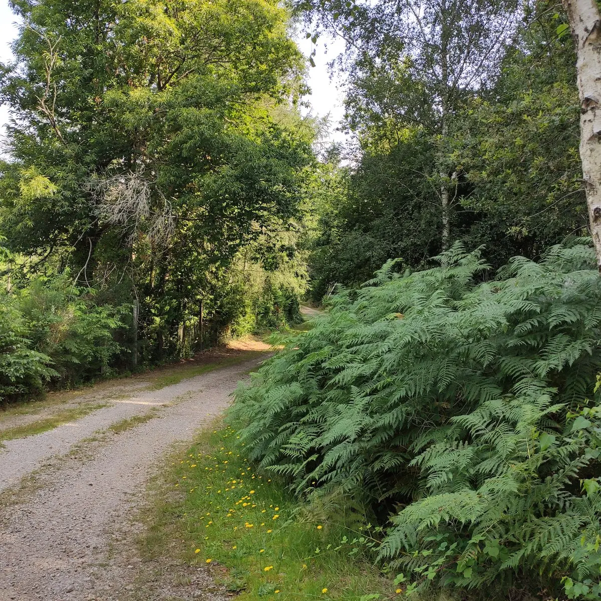 Champnétery -Chemin au carrefour de la D13
