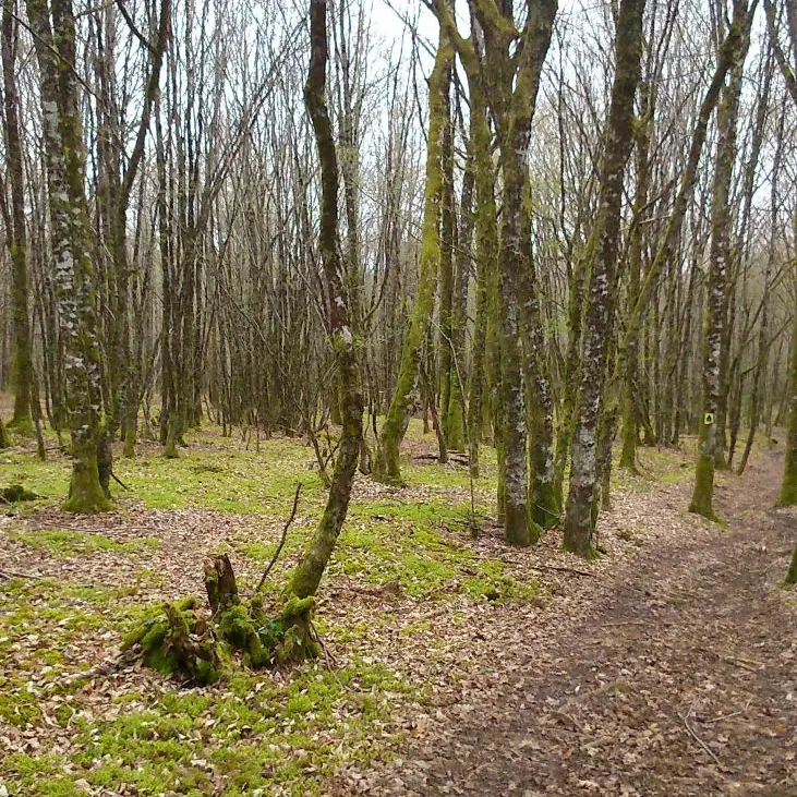 Chemin Lardoux