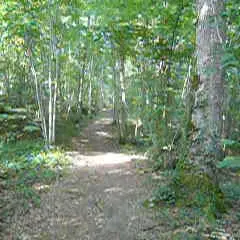 Chemin1