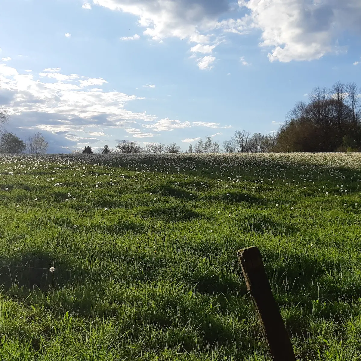 Circuit des 2 Bourgs -Eyburie © A.Blanchet - Office de Tourisme Terres de Corrèze (55)