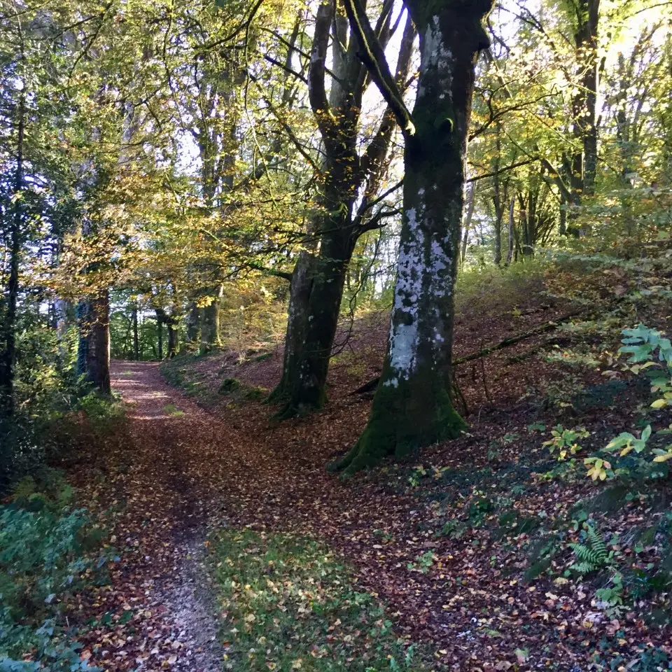 Circuit des 3 églises, Ste Anne St Priest