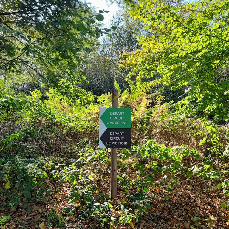 Circuits balisés de la Forêt de Lifarnet à Saint-Léonard de Noblat