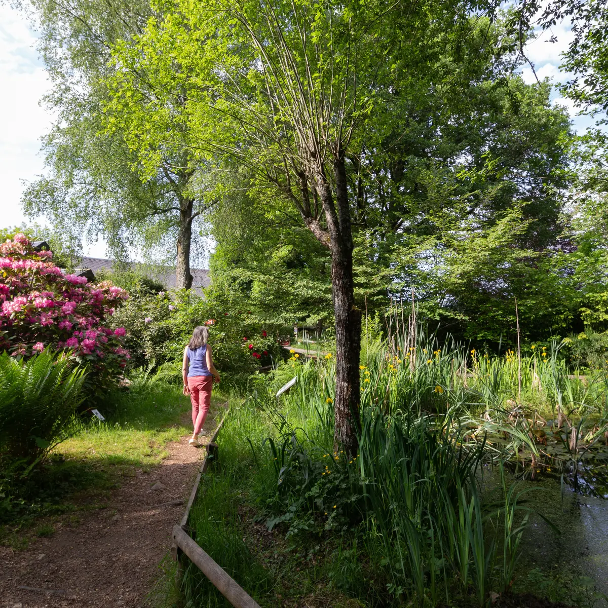 Cite_des_insectes©Aurelie_Maichel2022 (3)