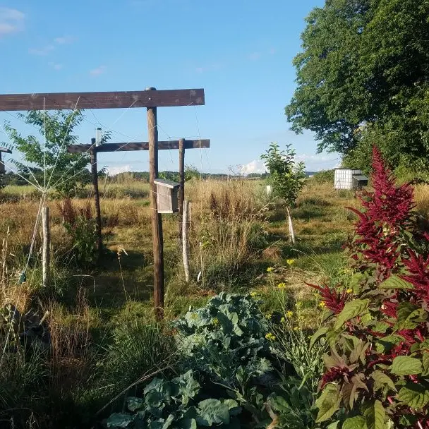 Conception jardin-foret