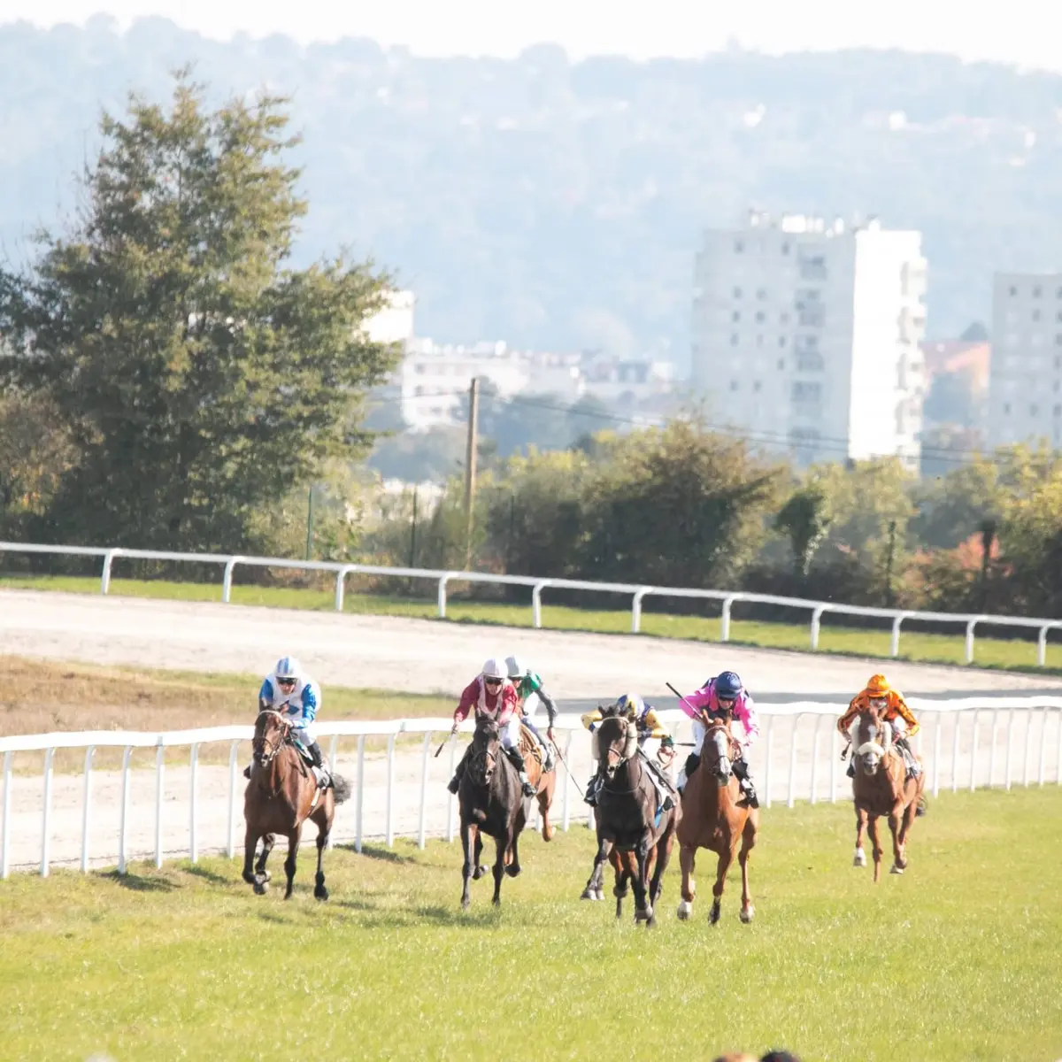 Couzeix - Hippodrome