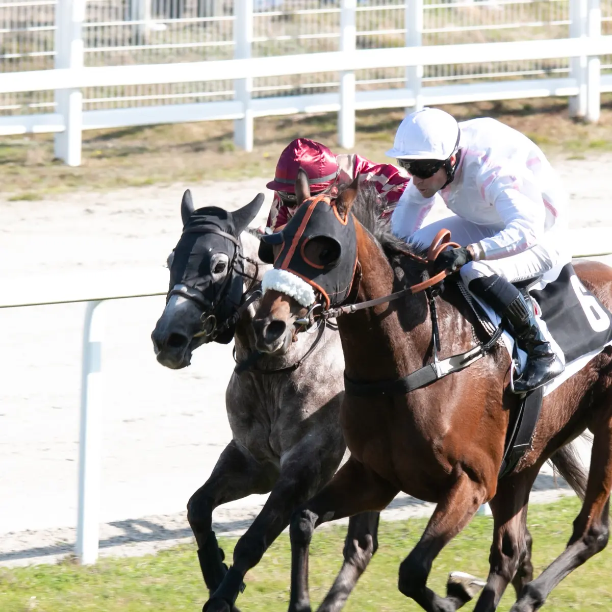 Couzeix - Hippodrome