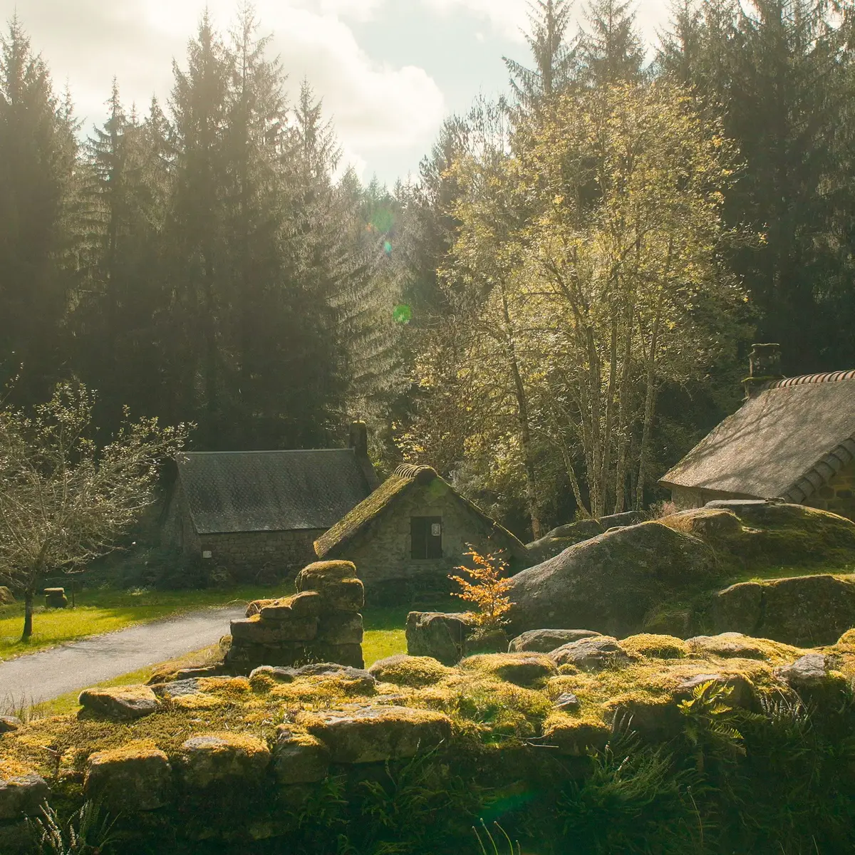 Clédat ©Little Grande R. Grandchamps (1)