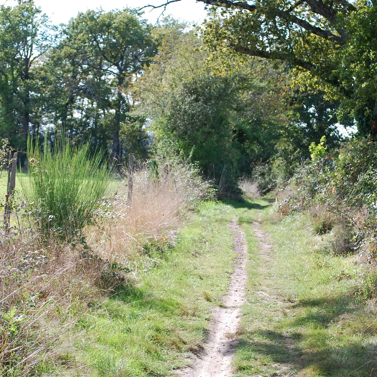 DSC_0070