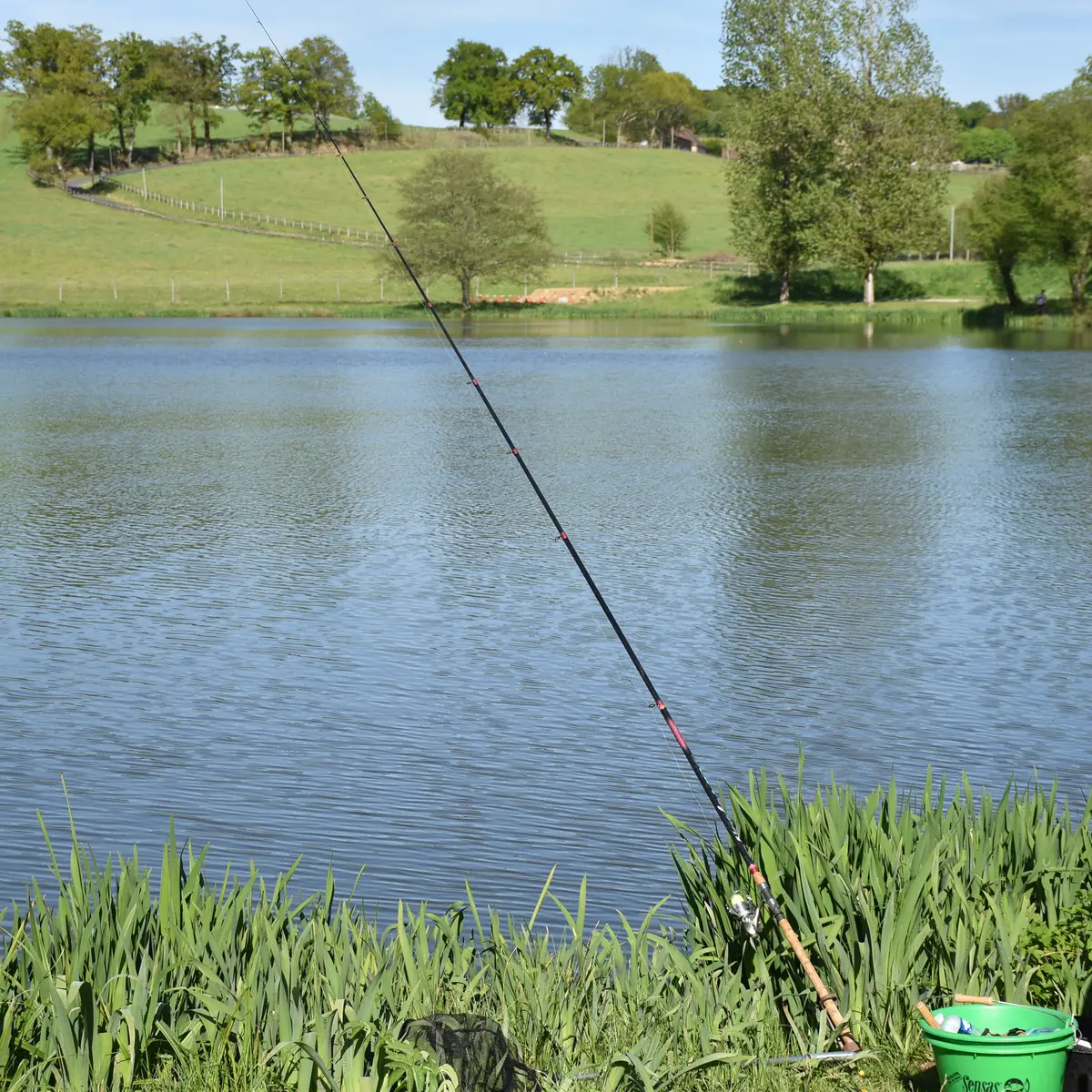 DSC_0998